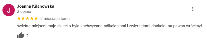 Ferie językowe Wrocław - Opinia 1