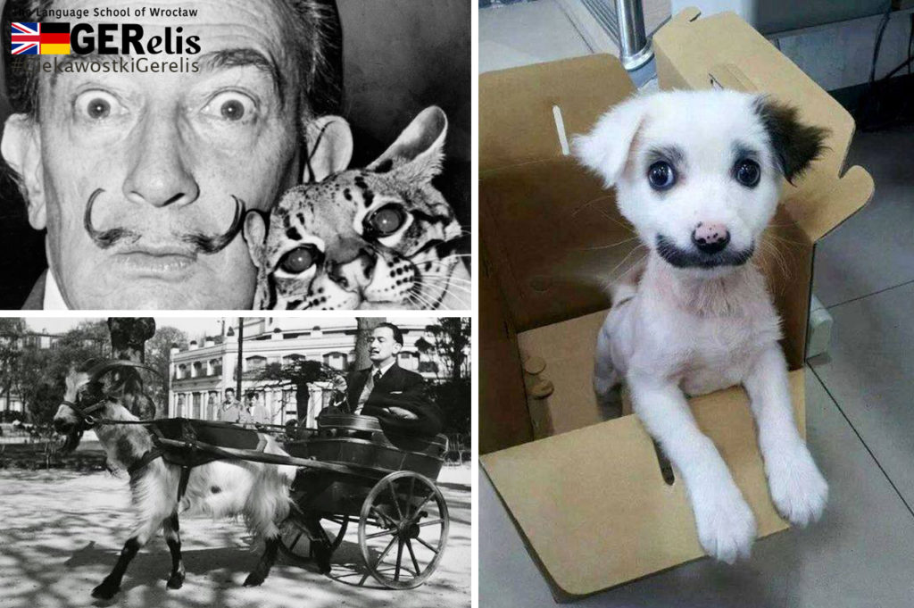 Ciekawostka GERelis #3. Salvador Dali i zwierzaki.